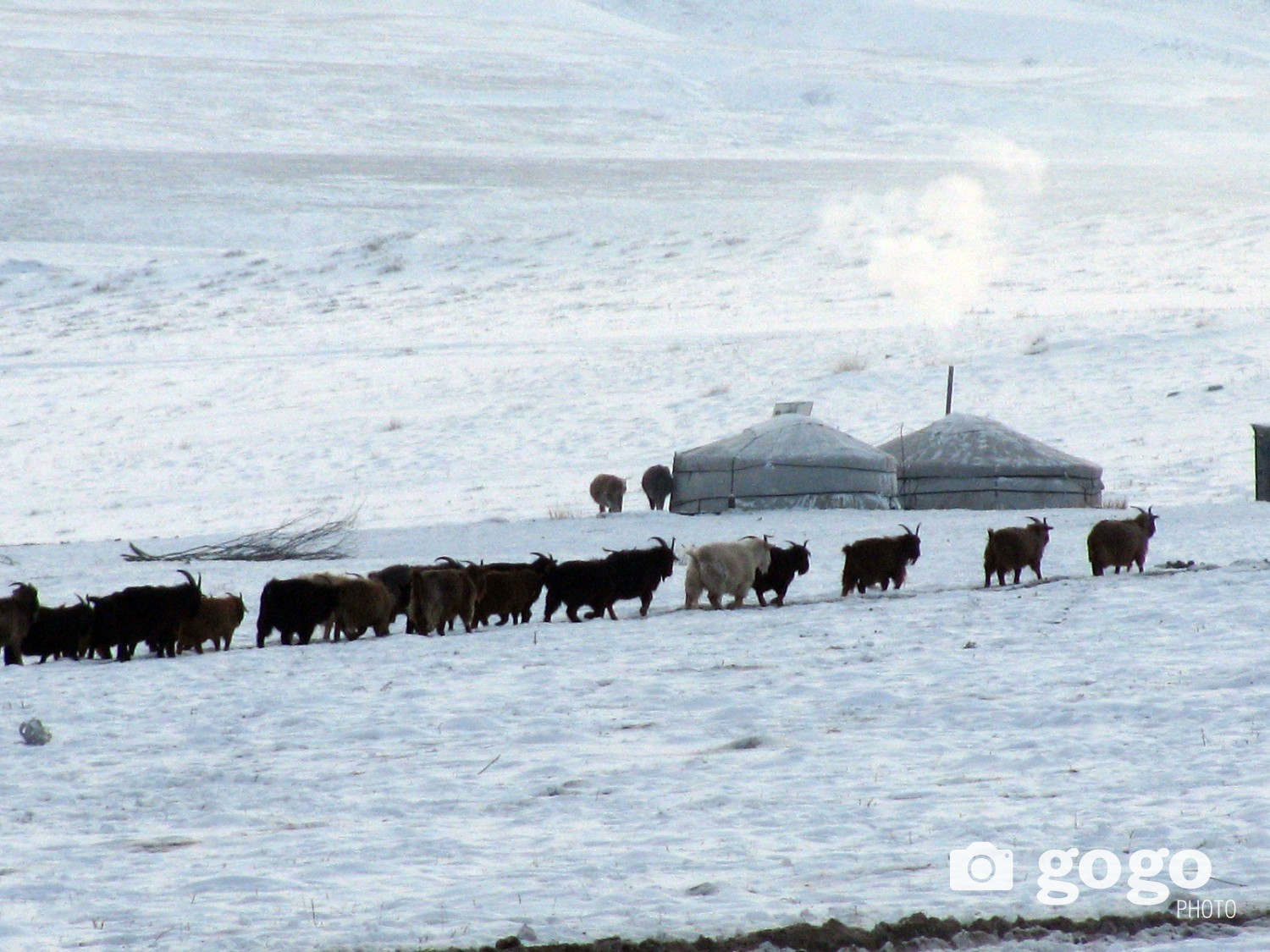 Ирэх тав хоногийн цаг агаар ямар байх вэ?
