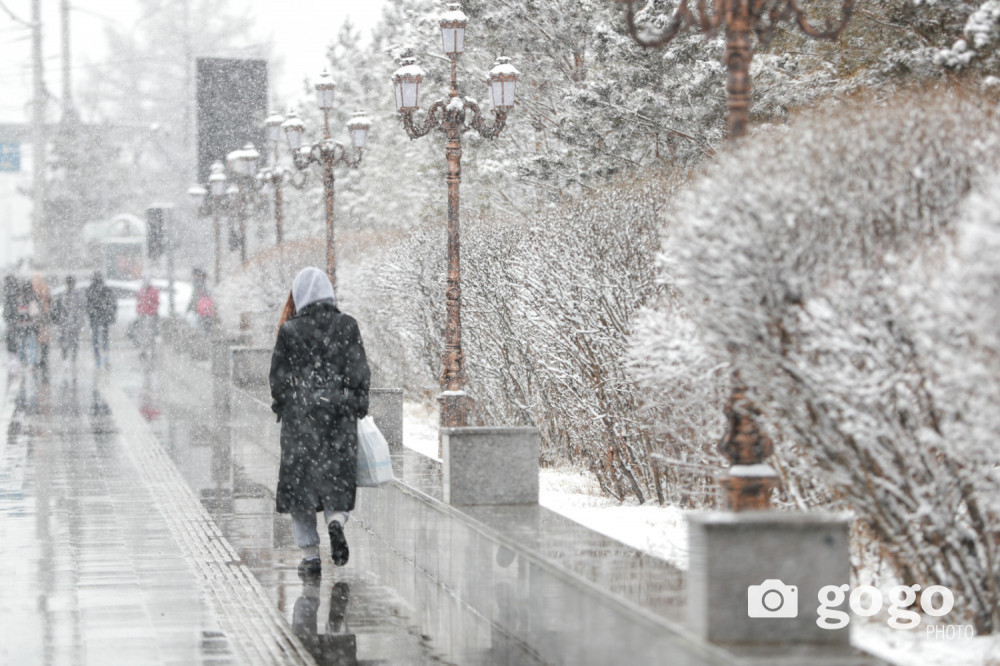 Маргаашаас ихэнх нутгаар цас орж, хүчтэй шуурга шуурна