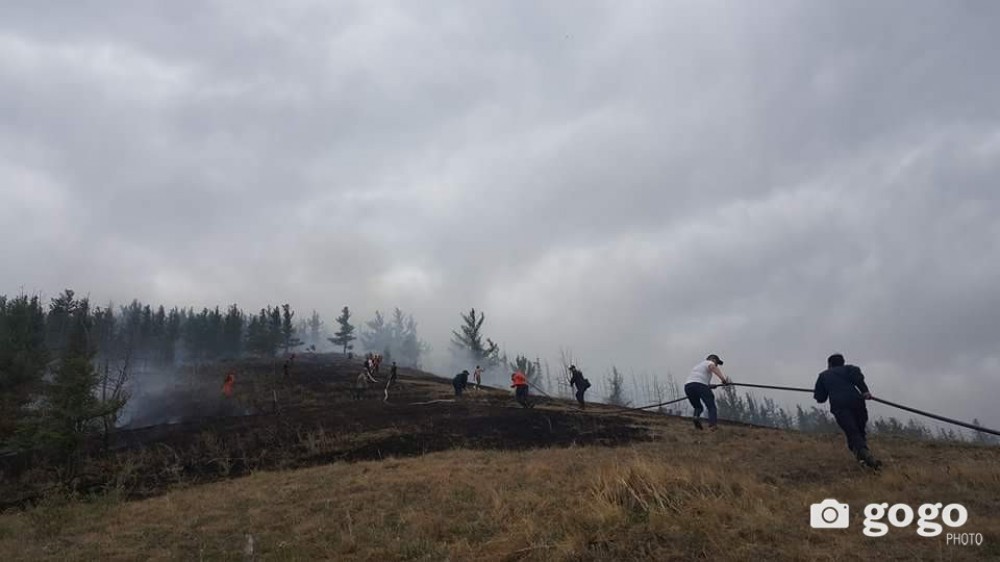 СЭРЭМЖЛҮҮЛЭГ: Ой, хээрийн бүсэд зорчихдоо галын аюулгүй байдлыг хангахыг анхаарууллаа