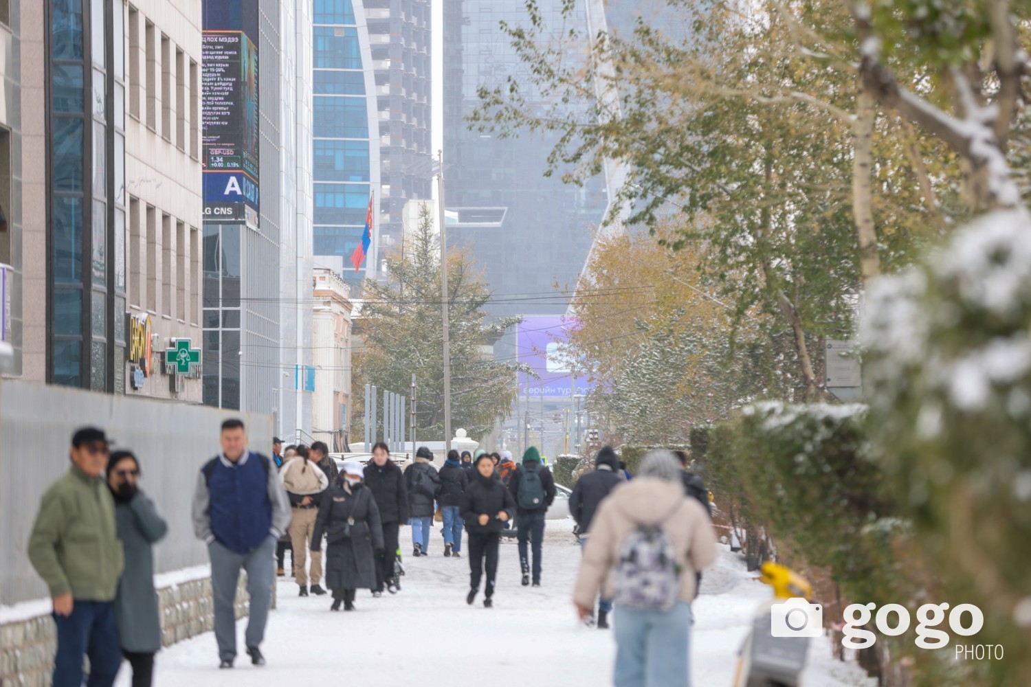 15 жилд Монгол Улс нийт 512 их наяд төгрөгийн ДНБ бүрдүүлжээ