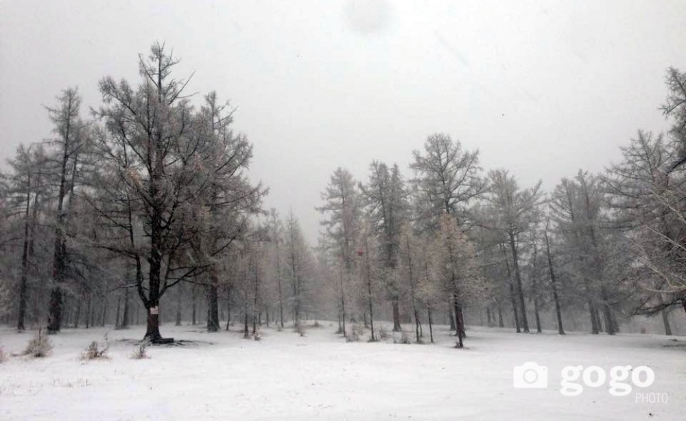 Амралтын өдрүүдийн ЦАГ АГААР