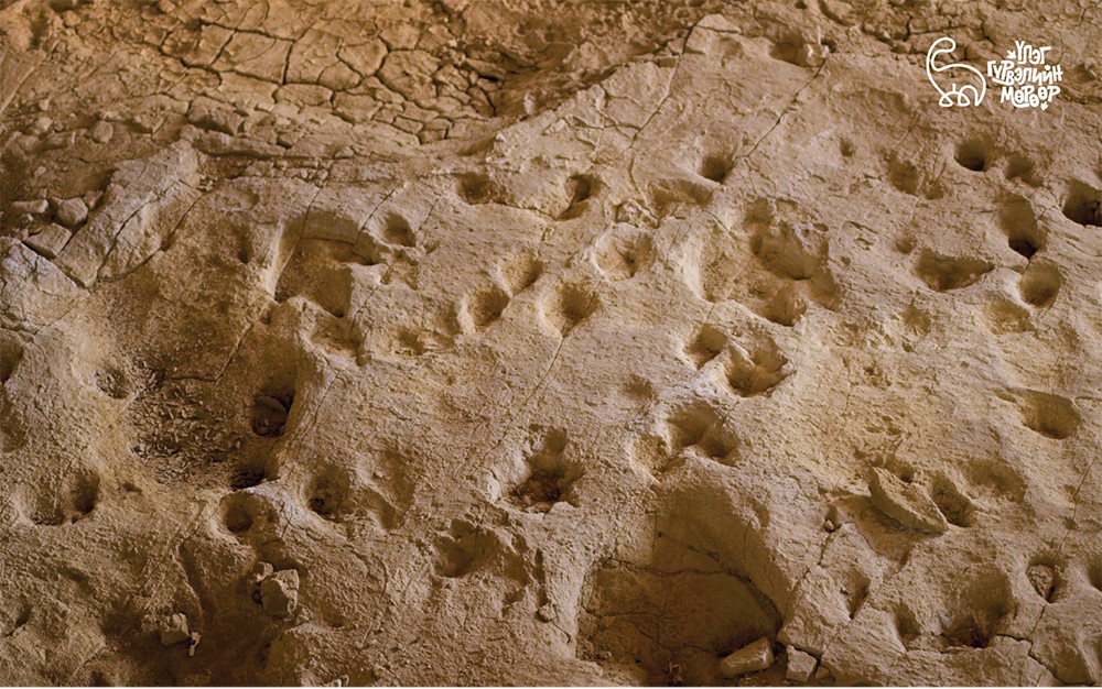 ЮНЕСКО-ийн Дэлхийн геопаркуудын жагсаалтад Шар цавын бүс нутаг нэгдэнэ