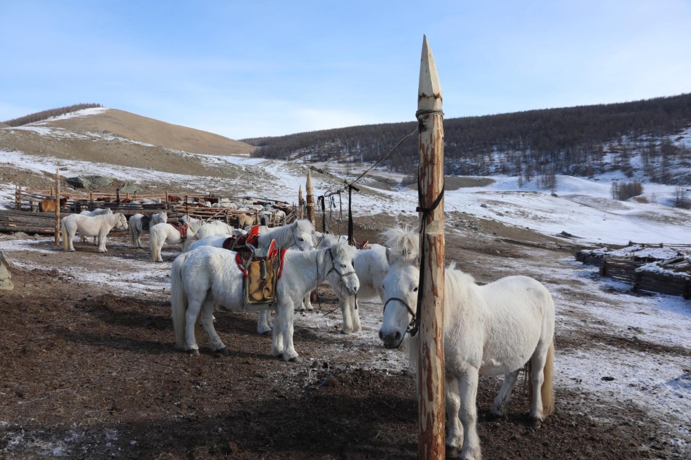 Маргаашаас ихэнх нутгаар хүйтний эрч эрс чангарахыг онцгойлон анхааруулж байна