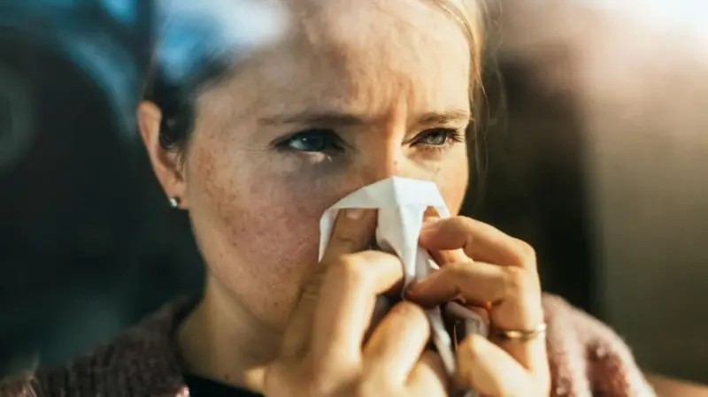 Ханиад томууны бүх вирусийн эсрэг вакцин бүтээжээ