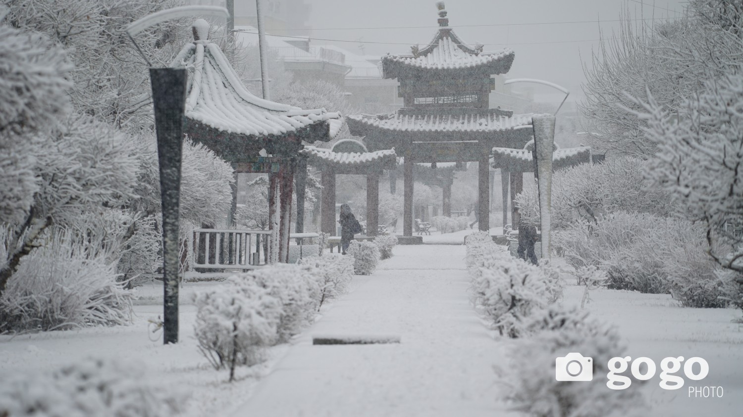 Баруун аймгуудын нутгийн өмнөд, зүүн аймгуудын нутгийн хойд хэсгээр нойтон цас орно
