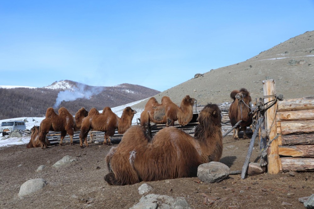 Гуравдугаар сарын цаг агаарын урьдчилсан төлөв