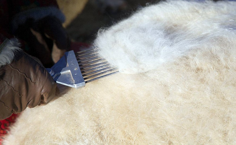 Ноолуурын үйлдвэрлэлийг дэмжих тухай Засгийн газрын тогтоолыг баталлаа