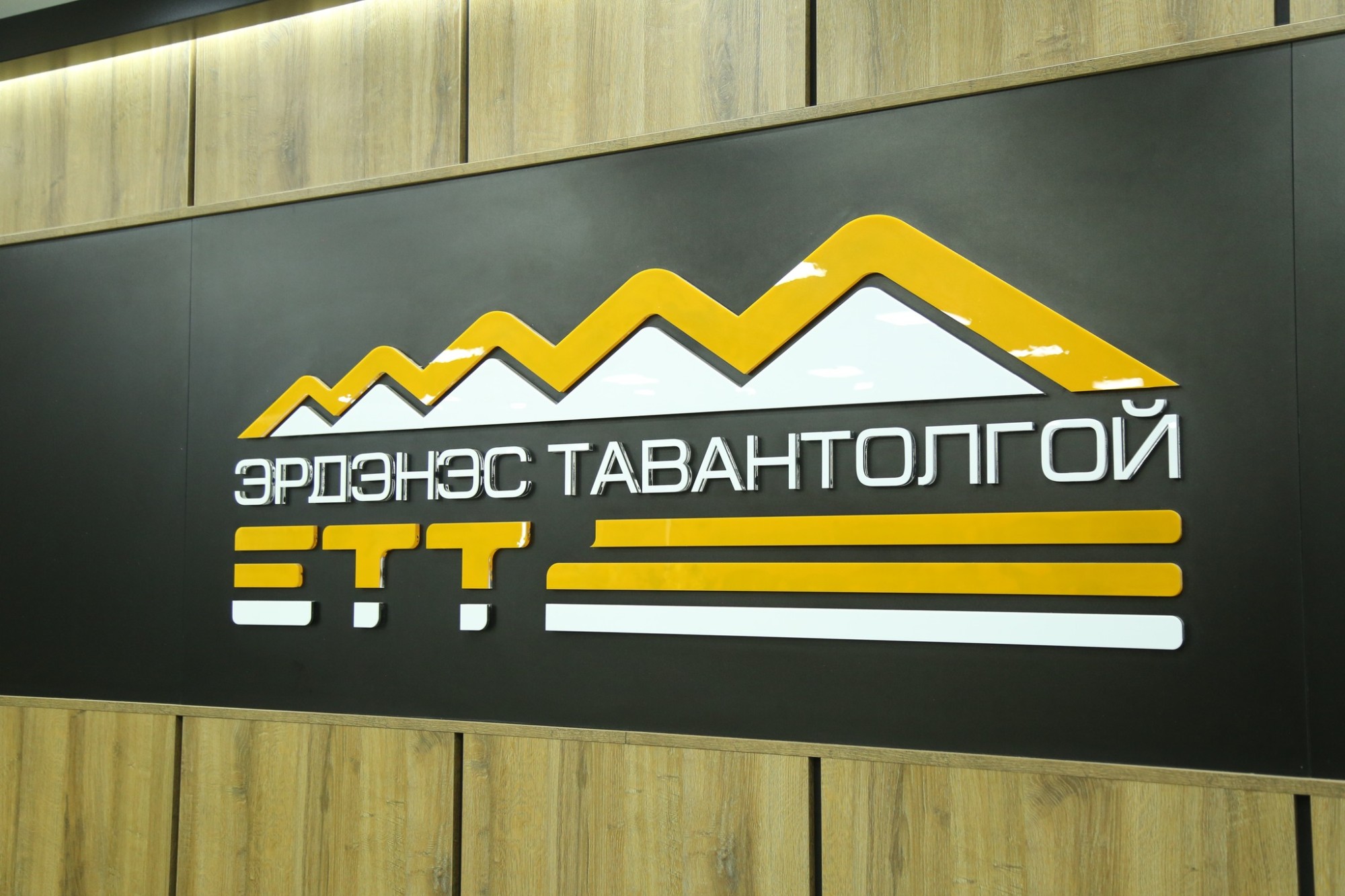 “Эрдэнэс Тавантолгой” ХК-ийн нэрийг барьж, залилан үйлдсэн иргэнд торгох ял оногдууллаа