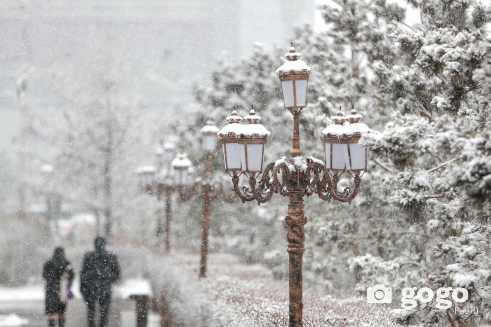 Зарим нутгаар нойтон цас орж, цасан шуурга шуурна