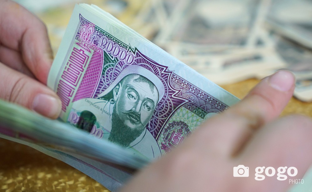 “Эрдэнэс Тавантолгой”-н 1072 хувьцааг өвлүүлэх, нэмж авах боломж олгох хуулийн төсөл боловсруулна