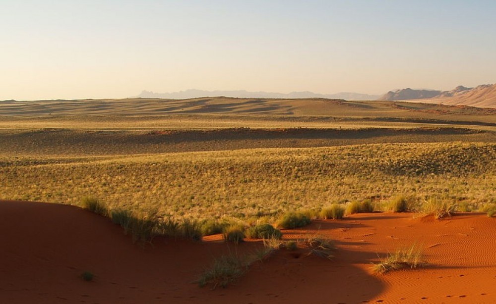 Зүүн бүсийн иргэд бэлчээрийн доройтолд анхаарахыг УИХ-ын гишүүдээс хүслээ