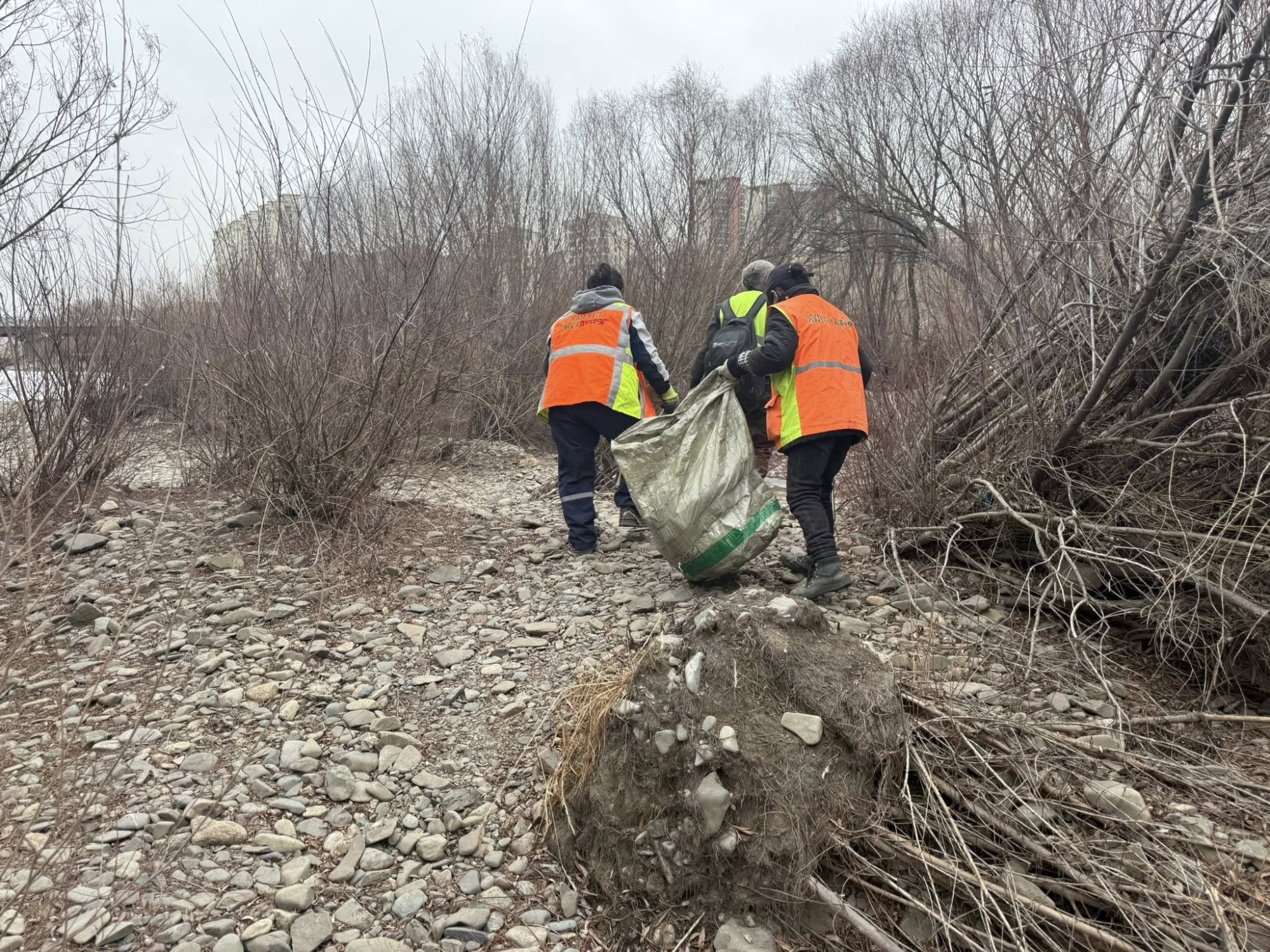 Өнөөдрөөс Туул голын ай савыг цэвэрлэж байна