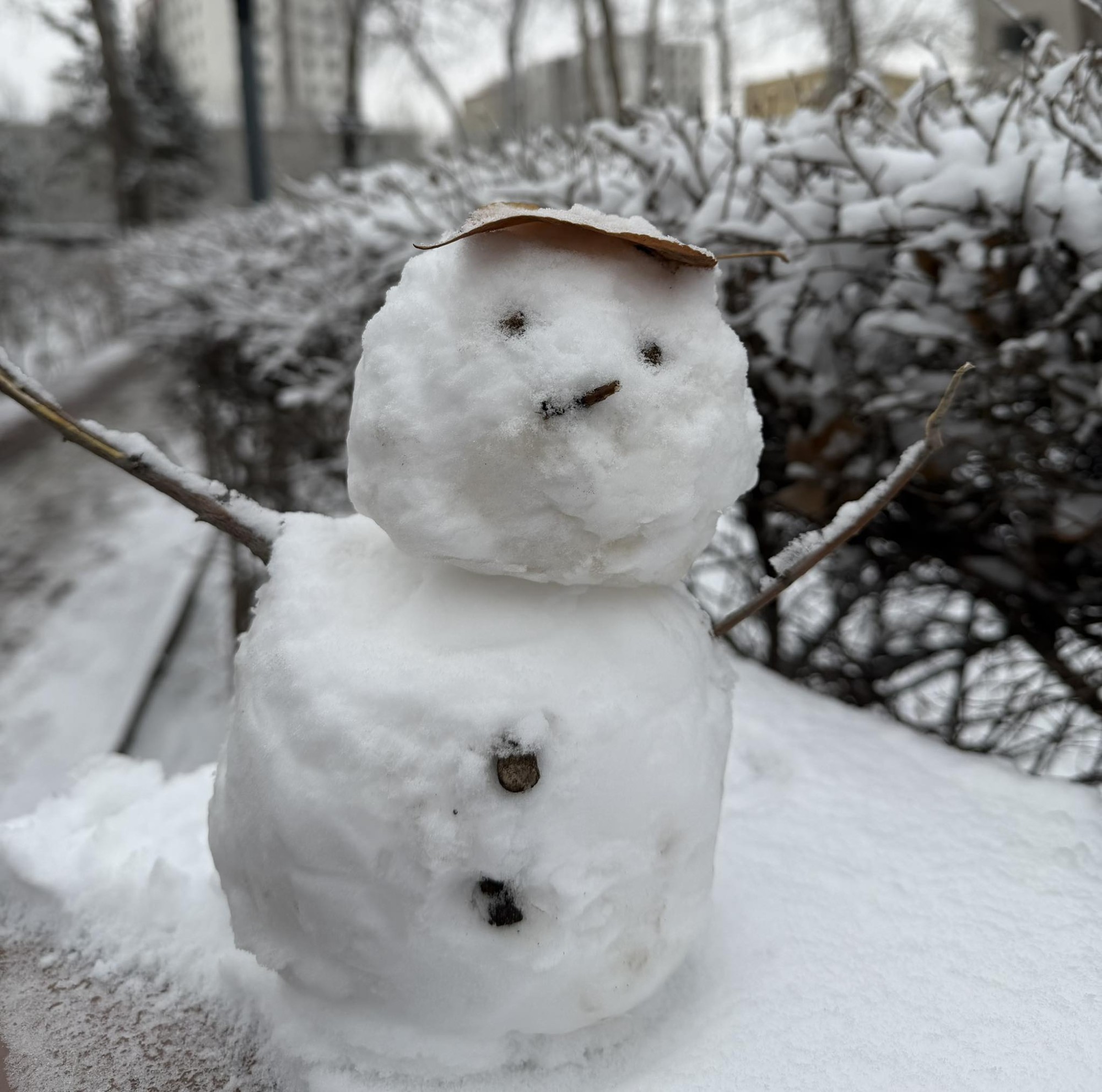 Төвийн аймгуудын нутгаар ялимгүй бороо, нойтон цас орно