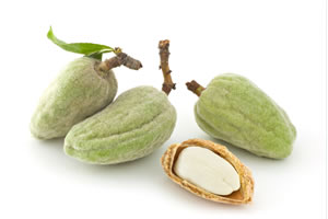 almond%20fruit-082920-1542128312 Хий ханиалгыг эдгээх арга