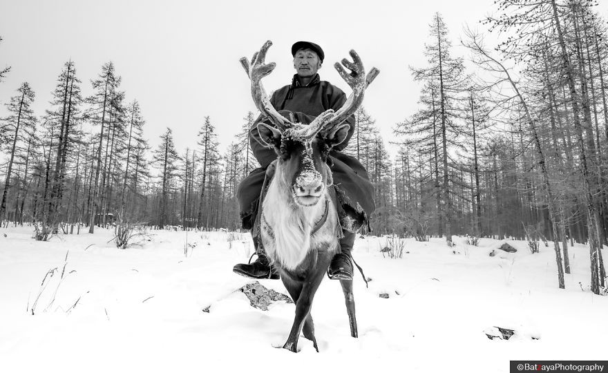 Tribal Leader Mr. Ganbaa had already prepared approximately 20 reindeers, 3 guides for our trip