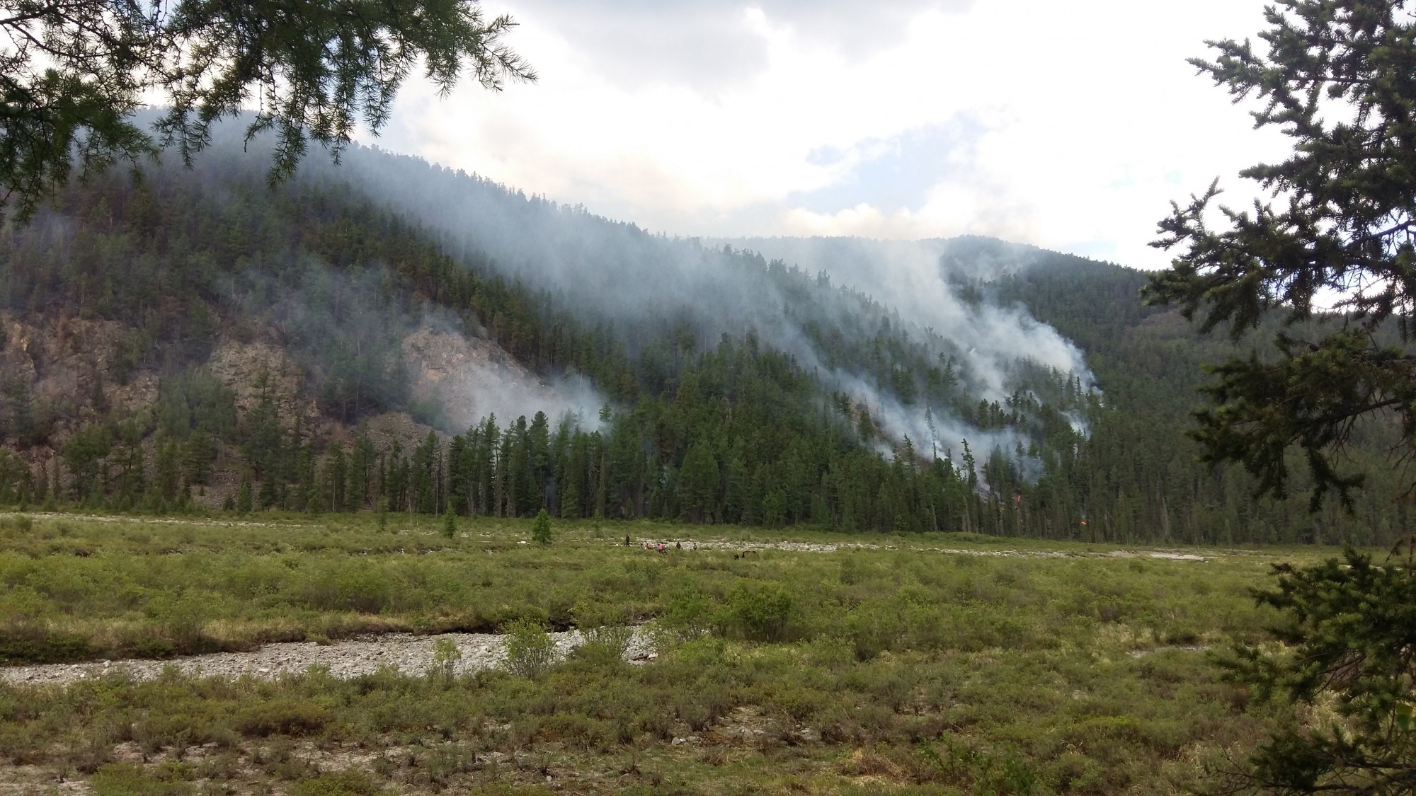 2017.06.18-ны өдөр. Төв аймгийн Эрдэнэ сумын нутагт гарсан ойн түймрийн нэг хэсэг