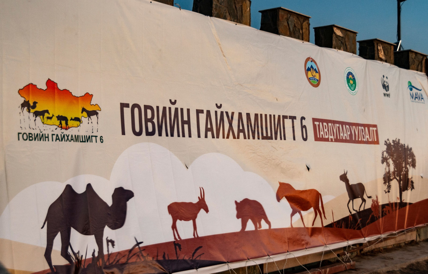 Говь, цөлийн бүсийн 160 нүдэн булгийн эхийг хашиж хамгаалжээ