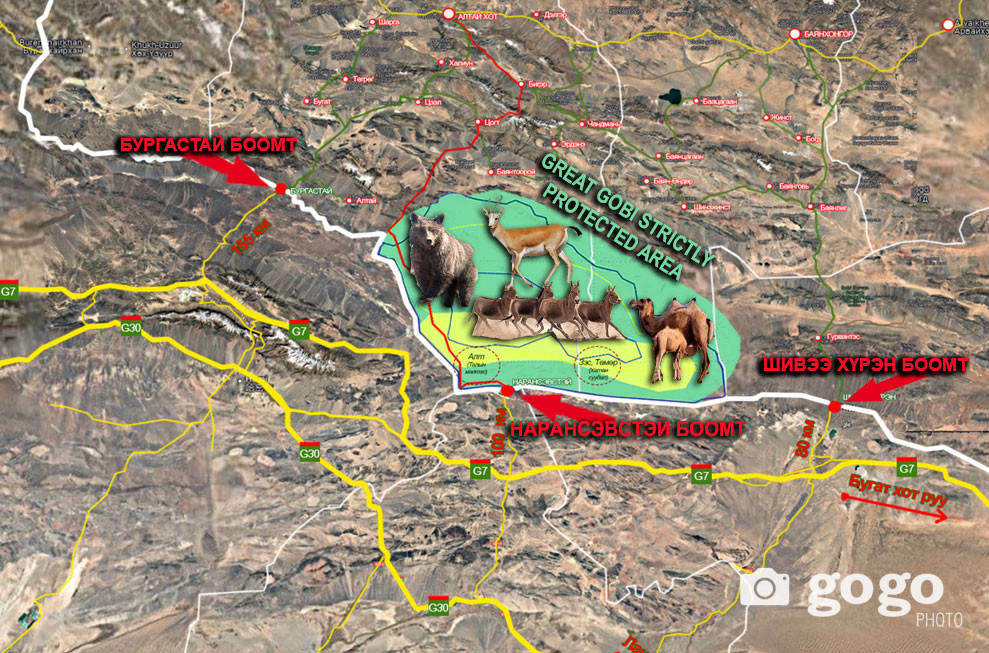 The red line drawn back from Naransevstein border point through the Thei Great Gobi Strictly Protected Area is the proposed road.