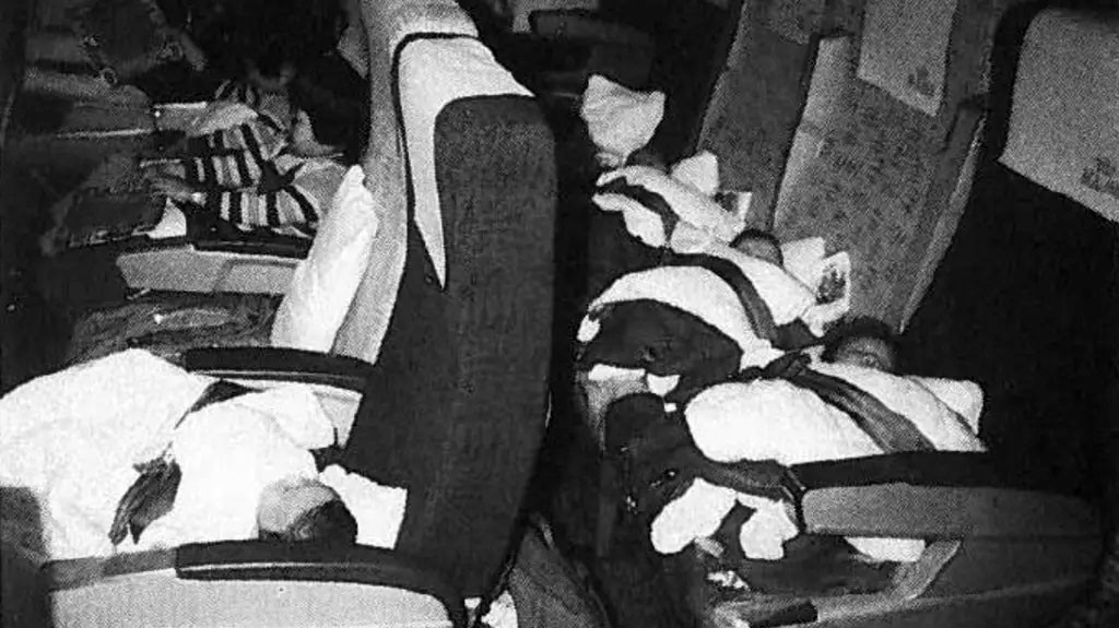 Данийн үрчлэх төвийн 1984 оны жилийн тайлангаас авсан зураг. Онгоцны зорчигчийн суудалд хэвтүүлж, суулгасан солонгос хүүхдүүд