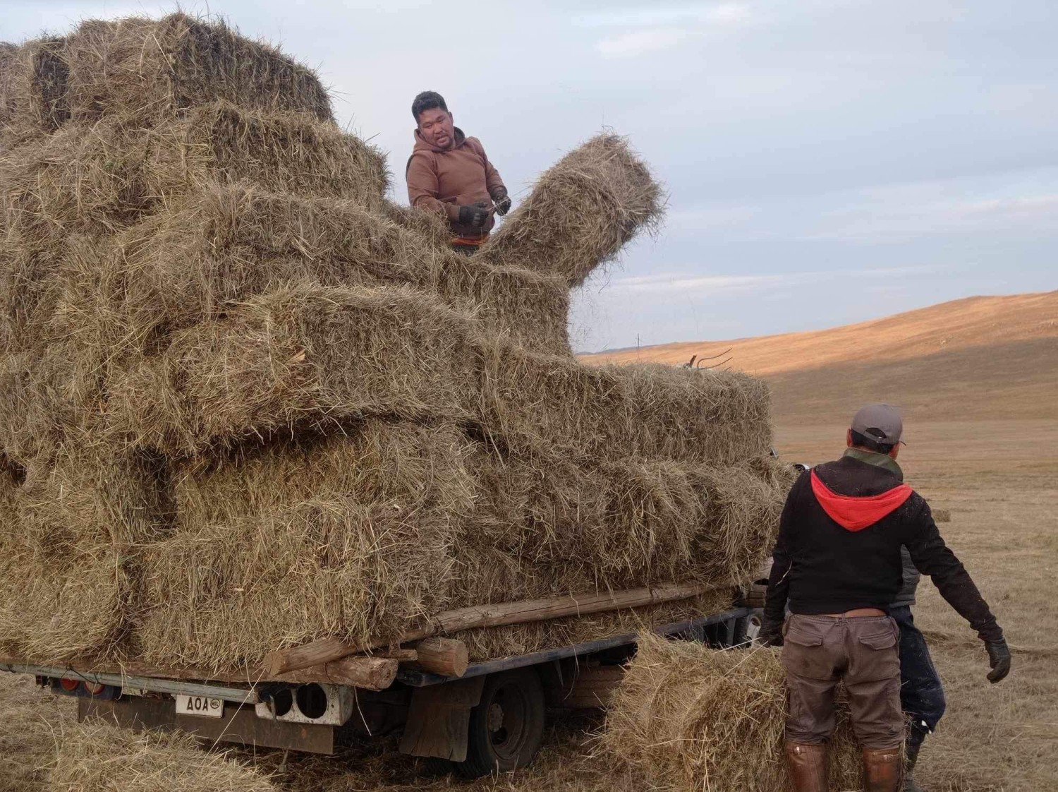Гэрэл зургийг "Улзын арвин сүрэг" хоршооноос
