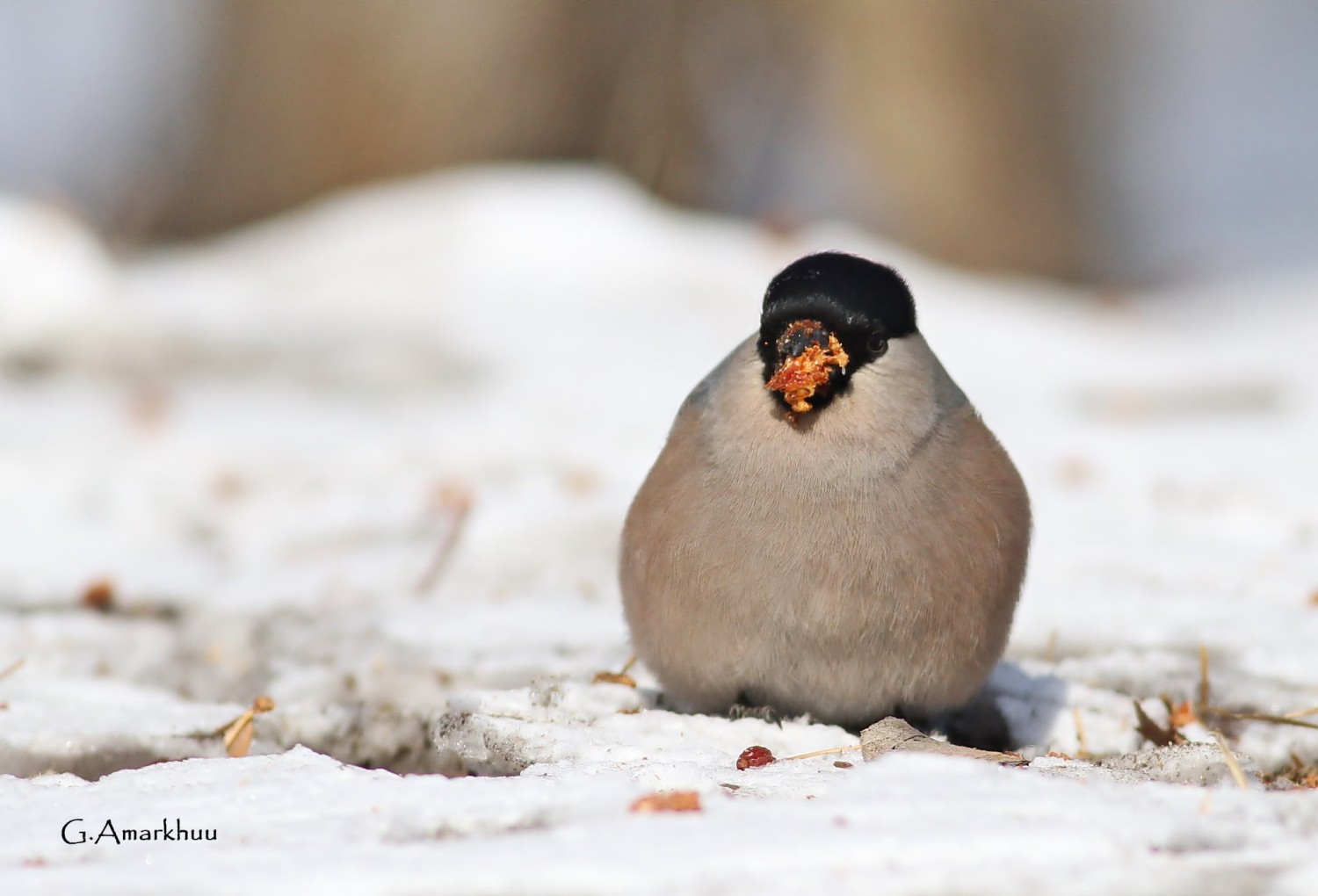 Банхар бялзуухай