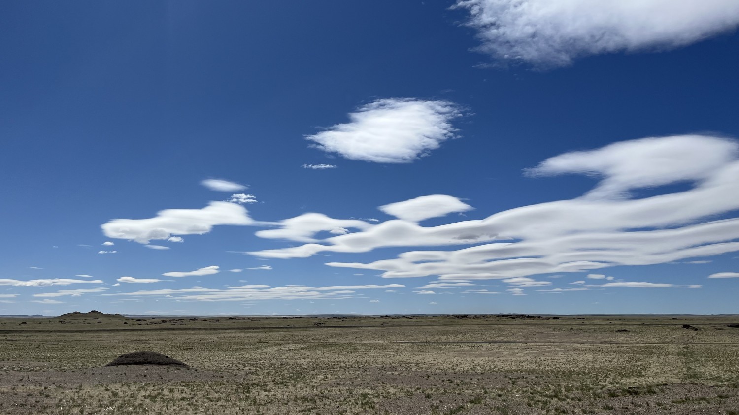 Говийн замд