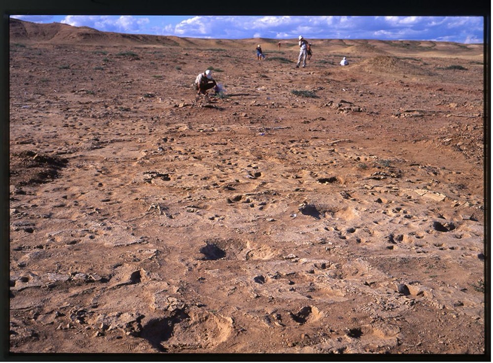 Архивын зураг: 1996 он,  Шар цавын Үндсэн мөрт хэсэг Монгол-Японы хамтарсан палеонтологийн экспедиц