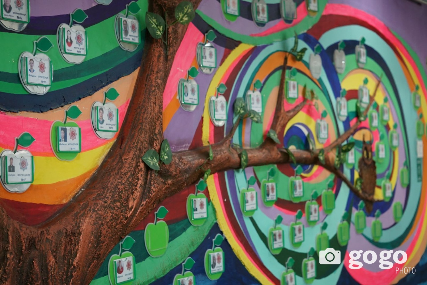 Хүндэт донорууд