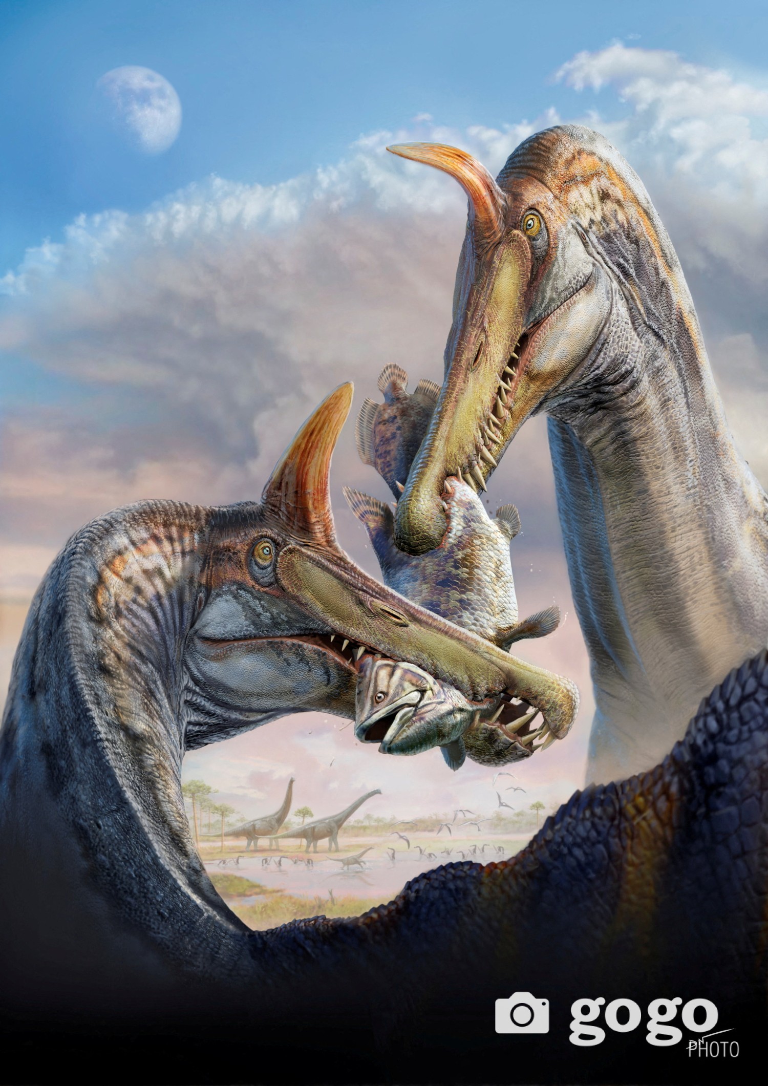 Ройтерс агентлагийн албан ёсны зөвшөөрөлтэй ашиглав