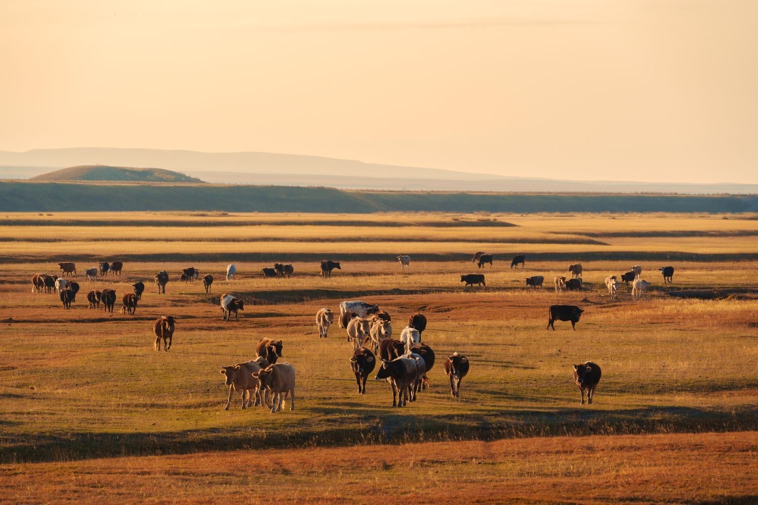 Баруун аймгуудын ирэх сарын цаг агаарын төлөв