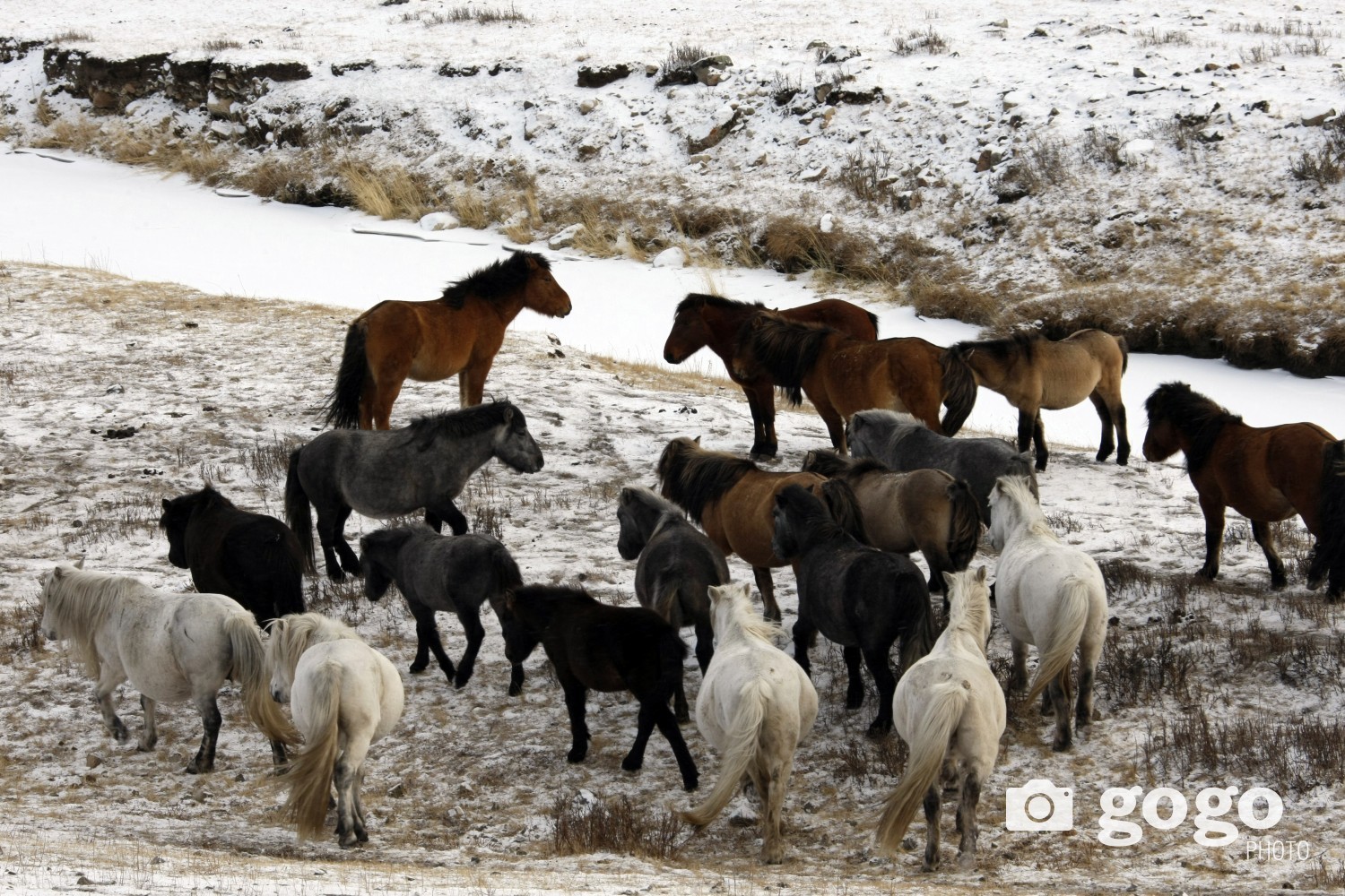 ЦЕГ: Малдаа, аргамжаатай мориндоо явсан хоёр иргэн төөрч, осгож амь эрсэдсэн