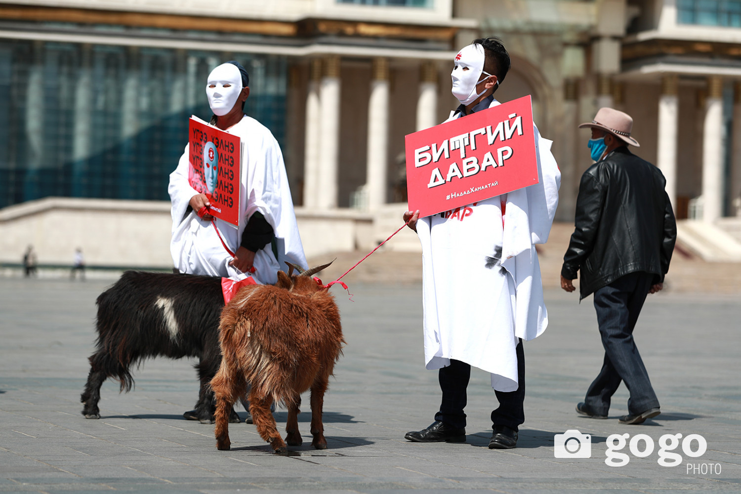 ФОТО: Залуусыг дэмждэггүй ямаа тойлдог хэмээн ямаатай жагсаал хийв