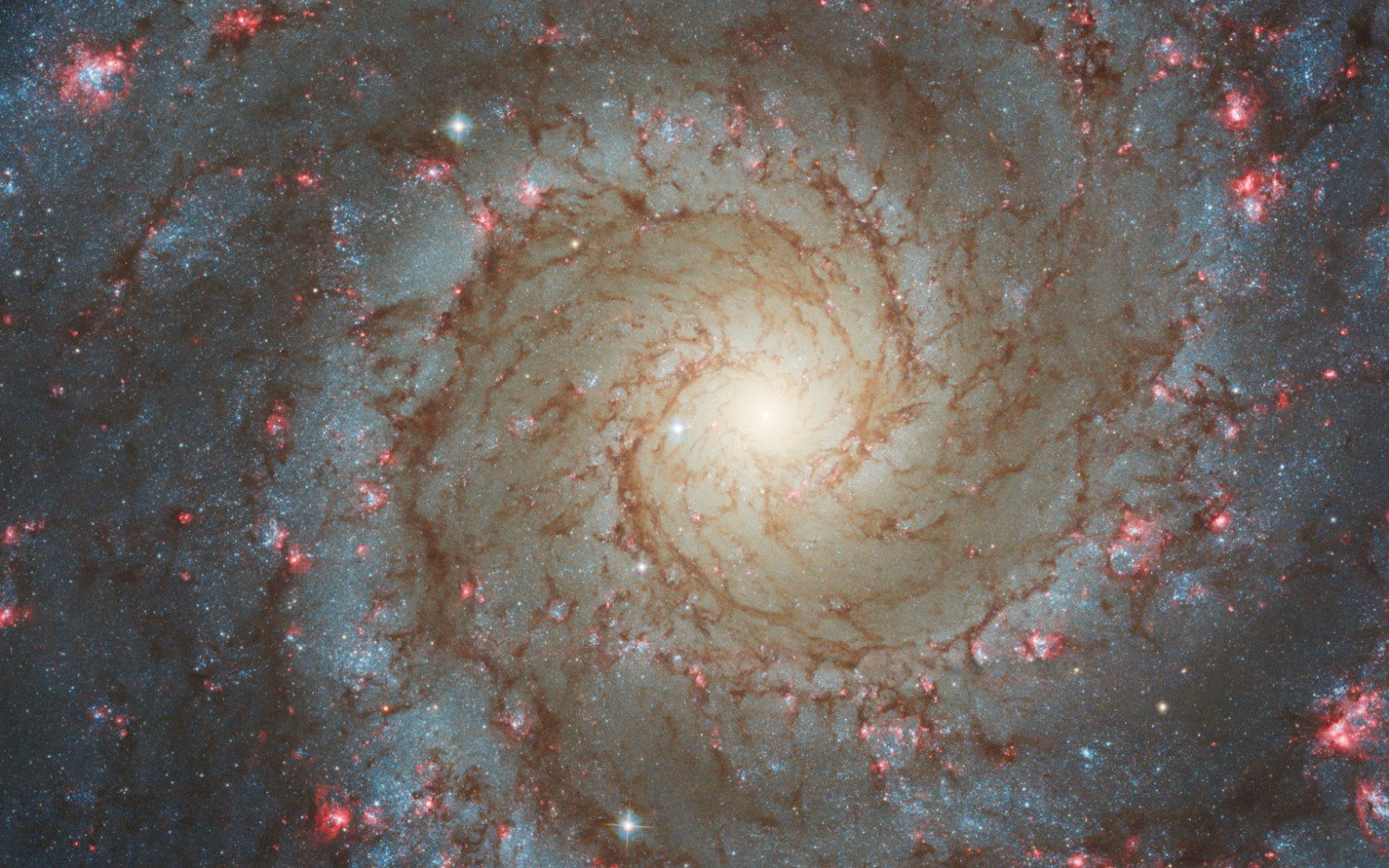 NGC 628 галактик.