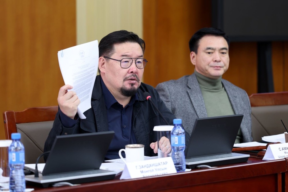 Г.Занданшатар: Засгийн газрын үйл ажиллагааг саатуулж, эс үйлдэхүй үзүүлж буй албан тушаалтнуудад хариуцлага тооцно
