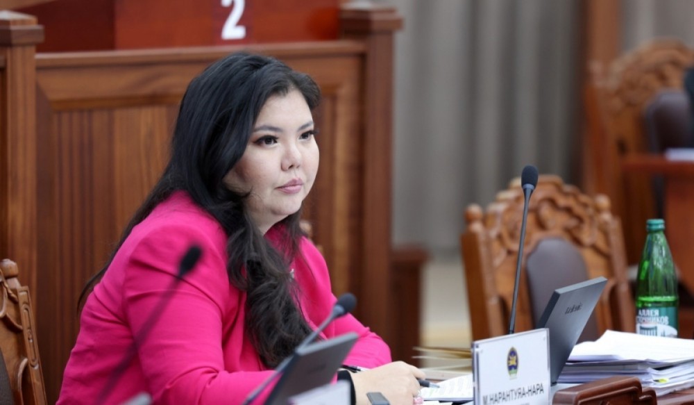 М.Нарантуяа-Нара: Ёс зүйн дэд хороо троллуудын хүсэлтээр хуралдах гэж байгаа нь харамсалтай