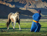 ФОТО: Эрийн хийморь