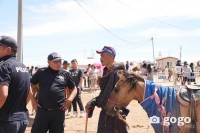 ФОТО: Шандас сорихоор 379 даага бүртгүүлжээ