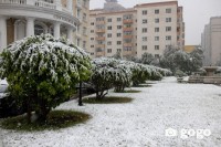 Ойрын тав хоногийн цаг агаарын урьдчилсан мэдээ